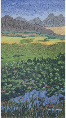 SALİÇ - Eser 199